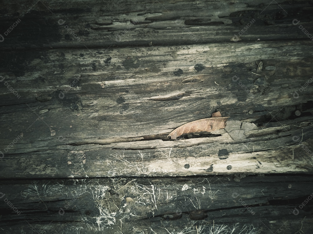 Fundo com textura de madeira envelhecida.
