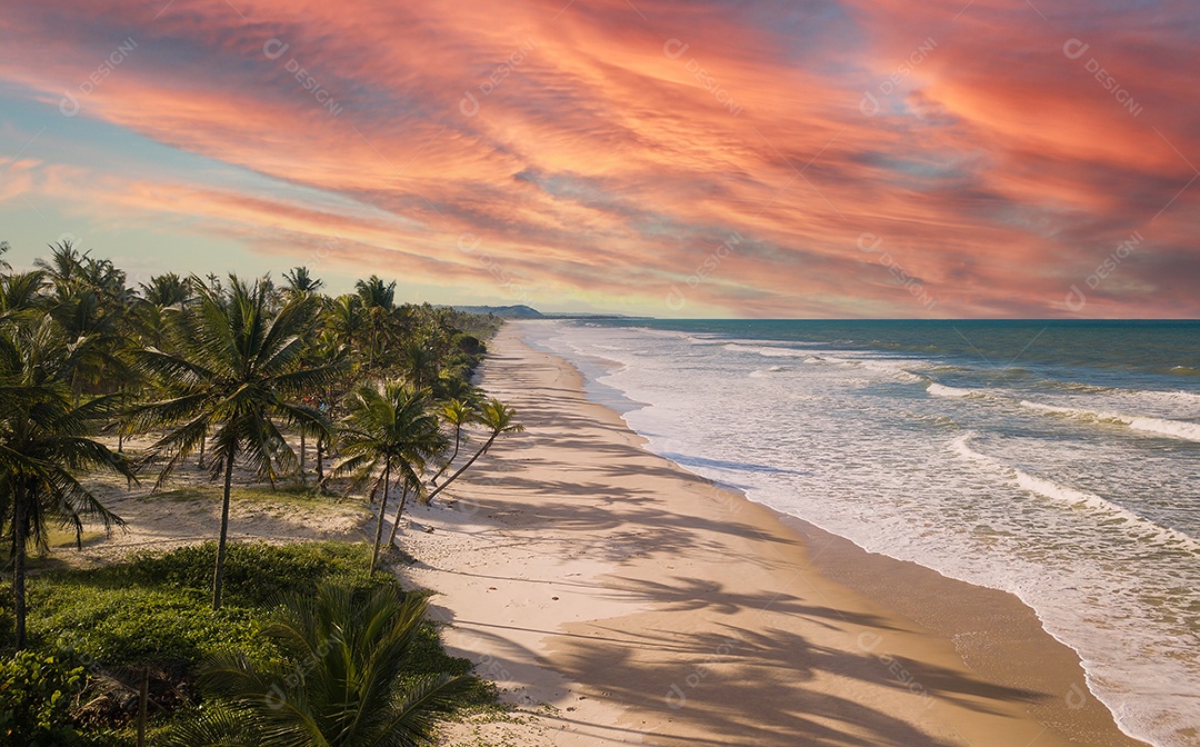 Praia deserta vista aérea com coqueiros na costa da Bahia brasil.