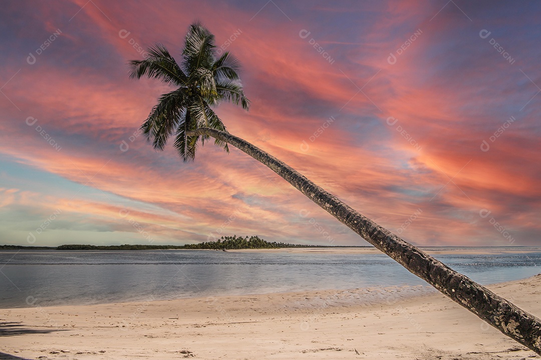 Ilha tropical de Boipeba no nordeste do Brasil na Bahia.