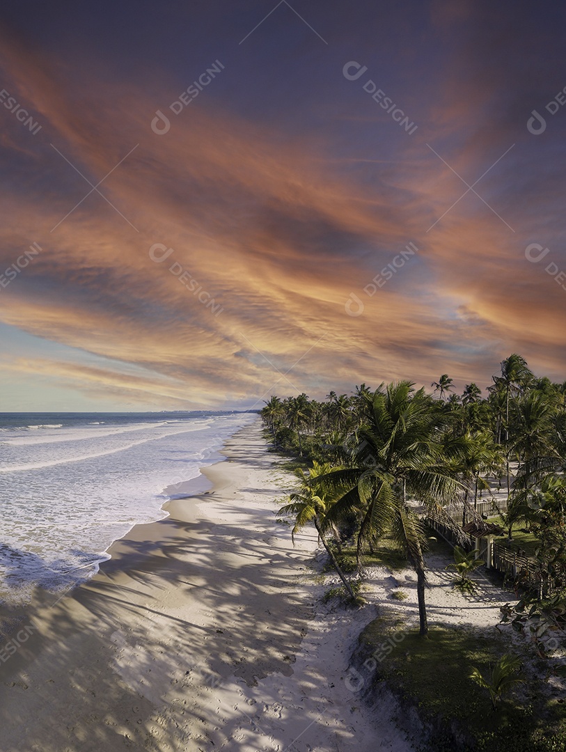 Praia deserta vista aérea com coqueiros na costa da Bahia brasil.