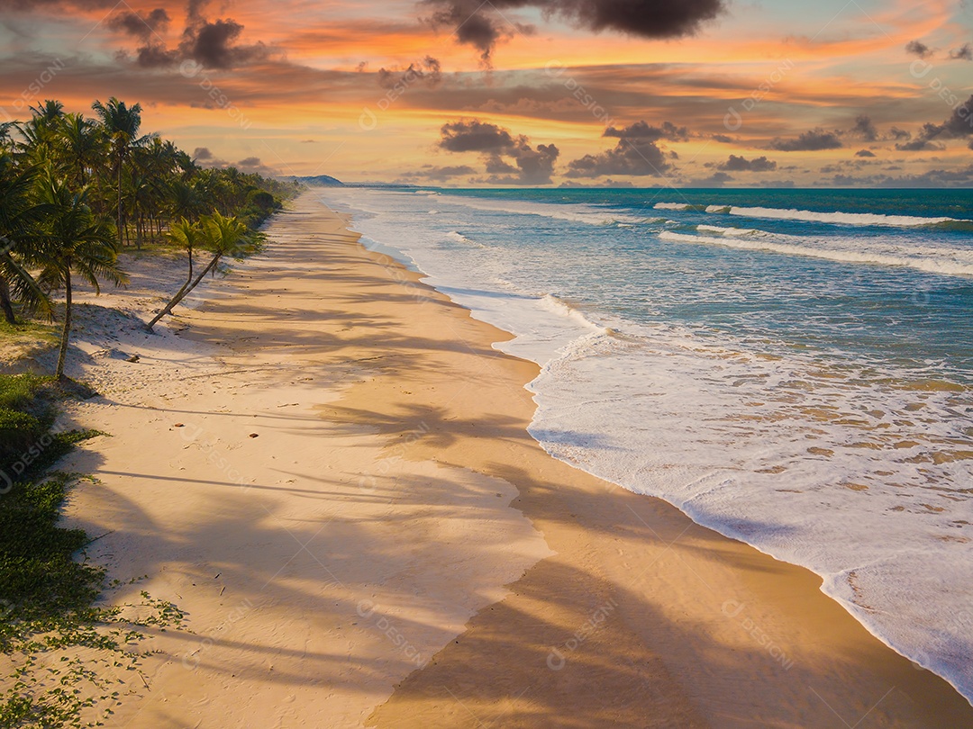 Praia deserta vista aérea com coqueiros na costa da Bahia brasil.