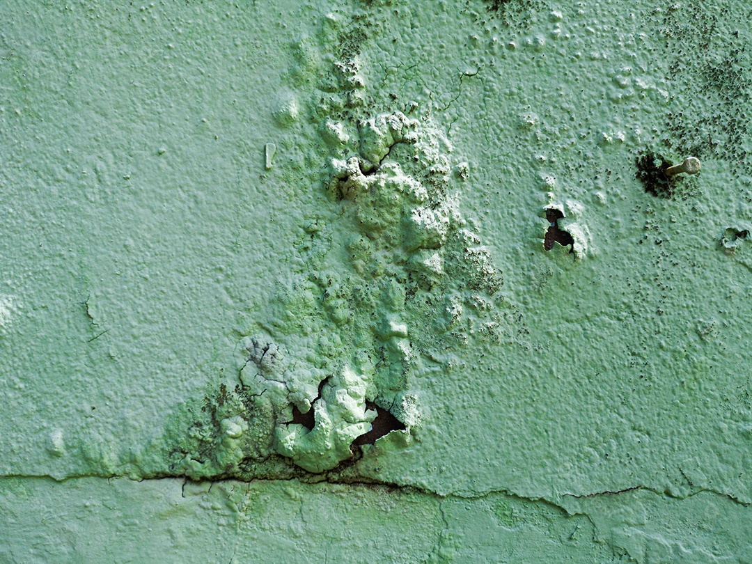Velho muro de cimento verde desbotado Superfície mofada. Gesso em ruínas