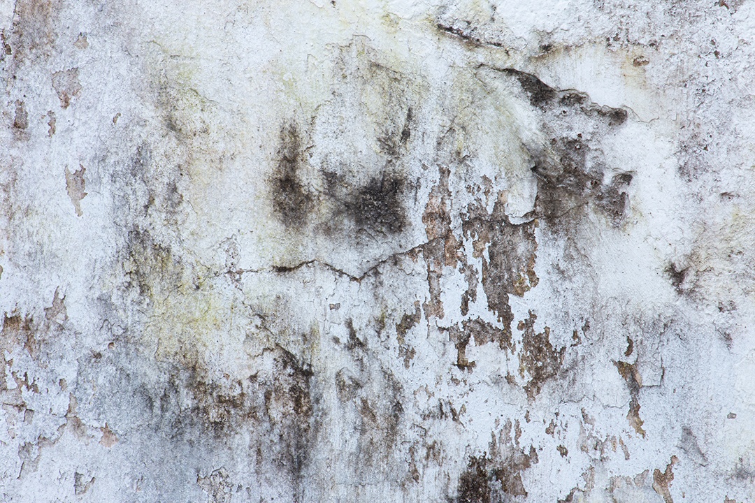 Pintura de mofo, fungo e descascamento branco no antigo muro de concreto