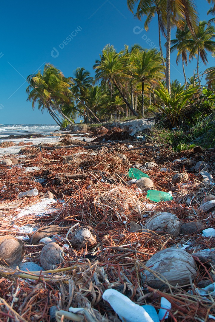 Poluição plástica da praia. Garrafas plásticas e outros lixos nas areias da praia
