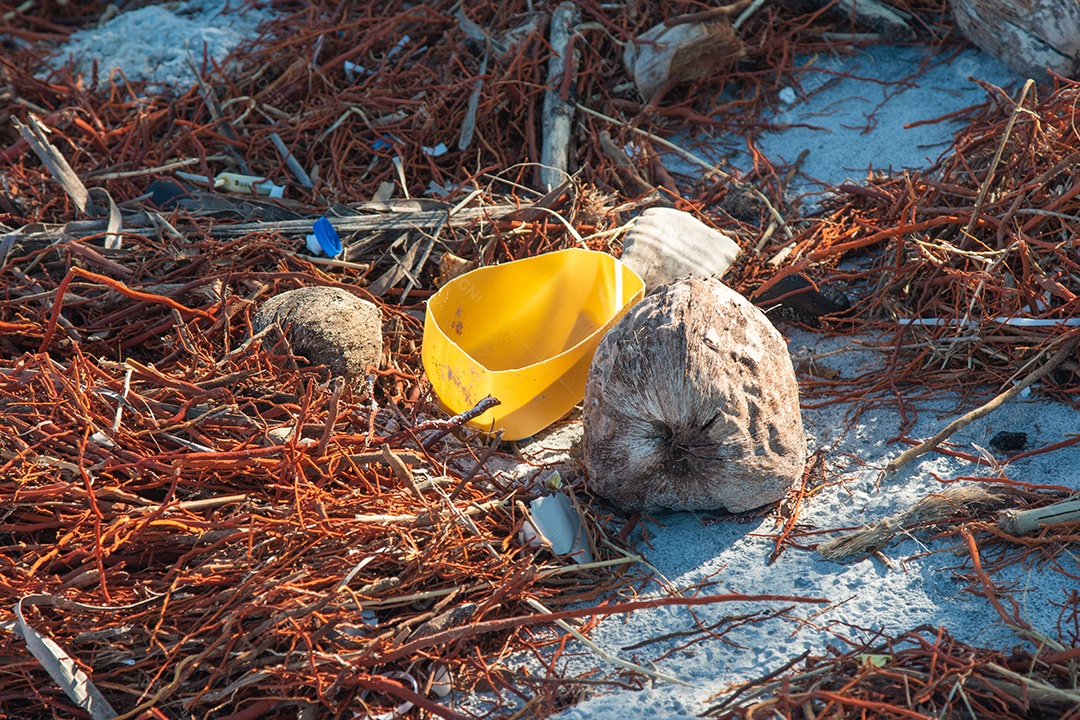 Poluição plástica da praia. Garrafas plásticas e outros lixos nas areias da praia