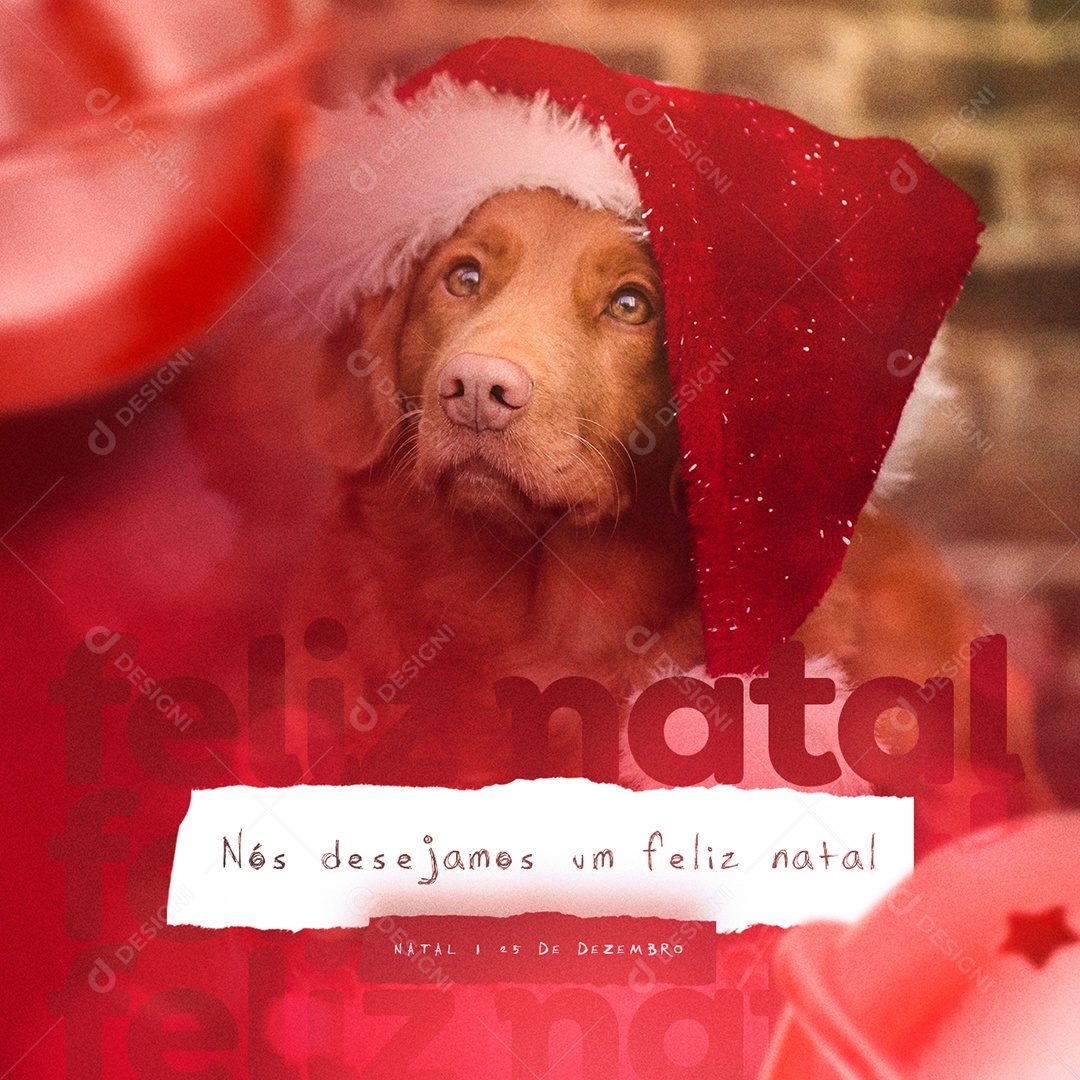 Nós Desejamos um Feliz Natal Social Media PSD Editável