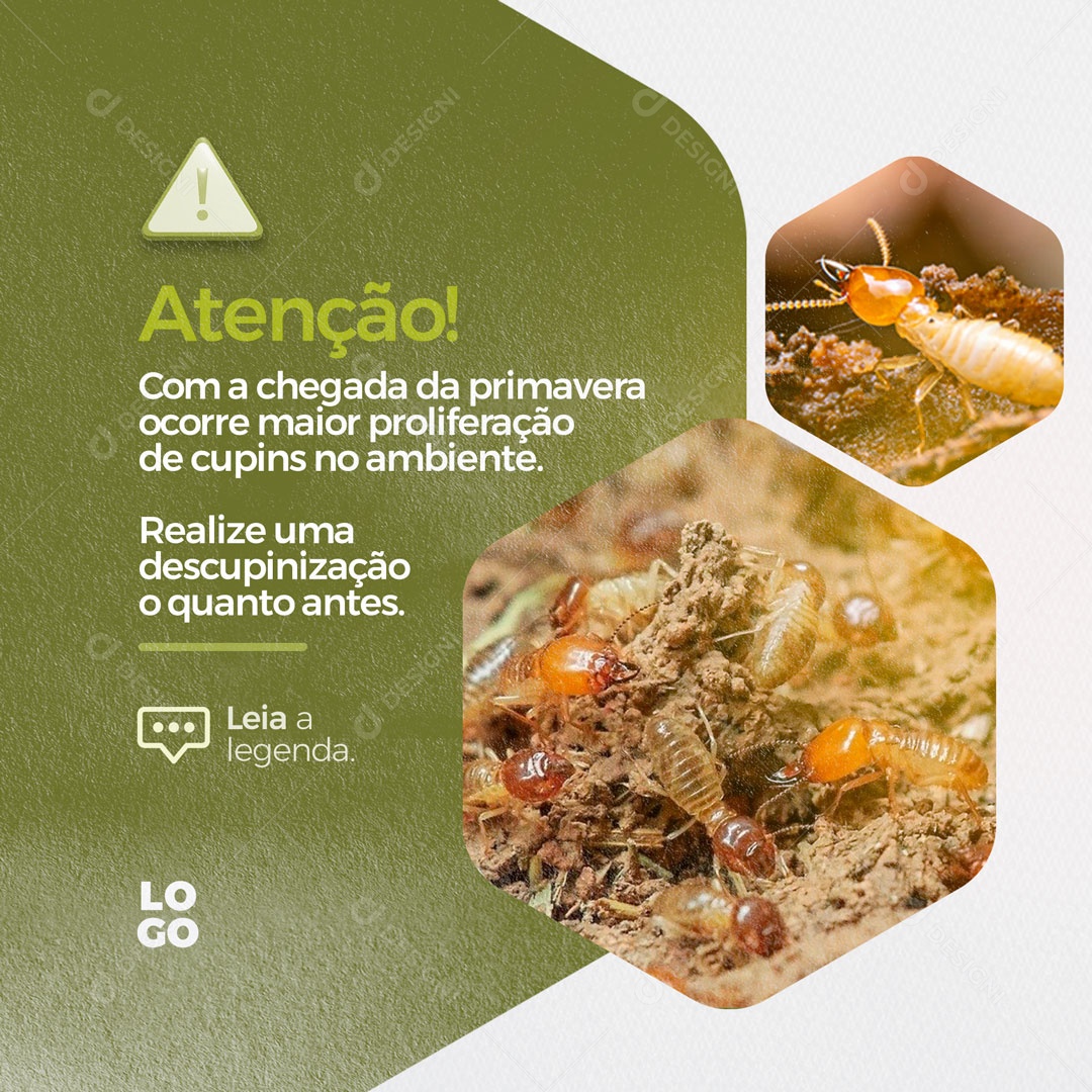 Realize uma Descupinização o Quanto Antes Dedetização Social Media PSD Editável