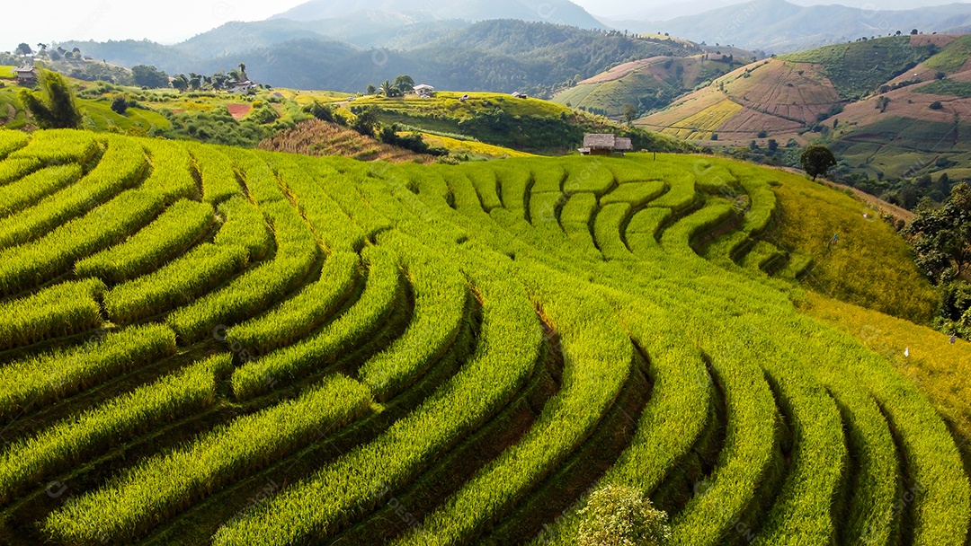 Vista aérea do terraço de arroz Tailândia