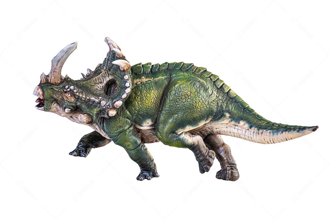 Dinossauro fundo isolado de Sinoceratops