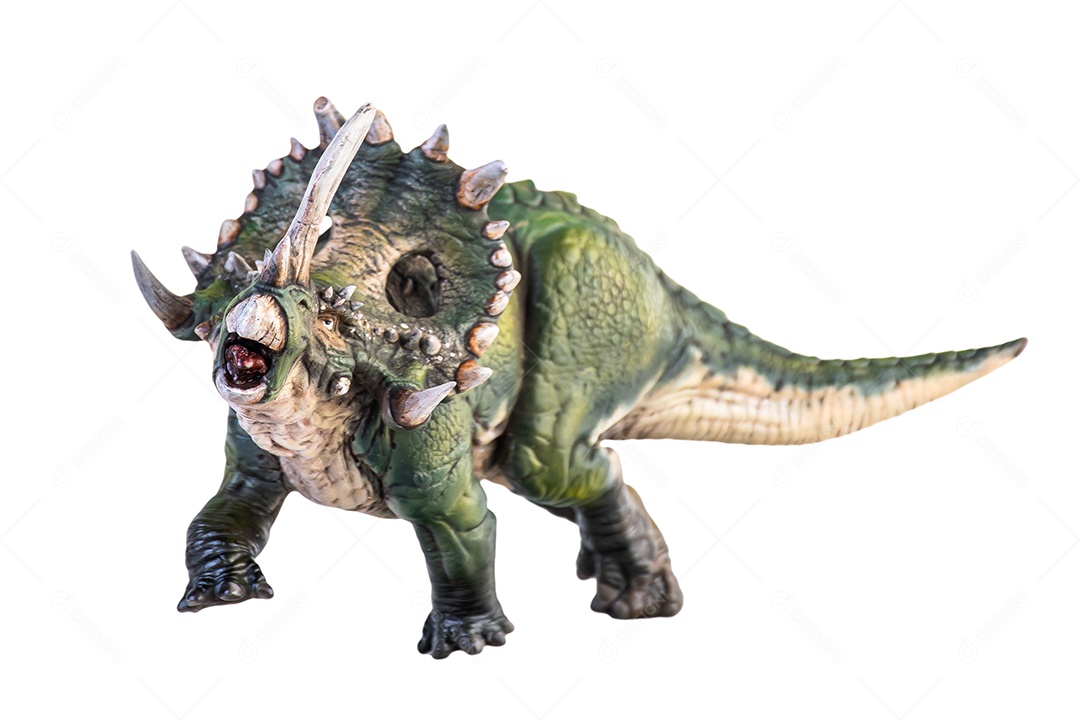 Dinossauro fundo isolado de Sinoceratops