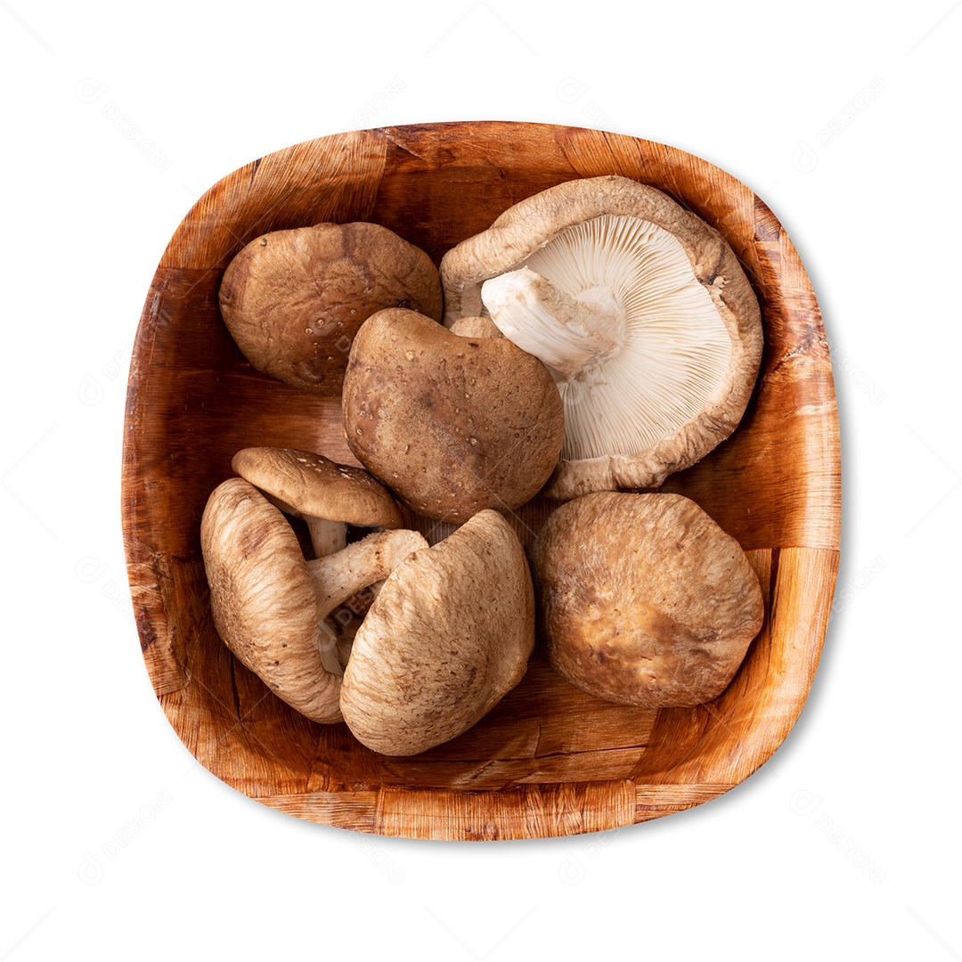 Cogumelos Shitake em uma tigela isolada sobre fundo branco.