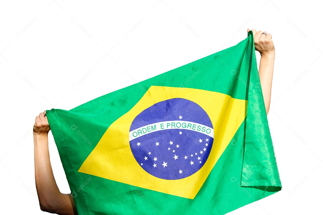 Pessoa segurando a bandeira do Brasil
