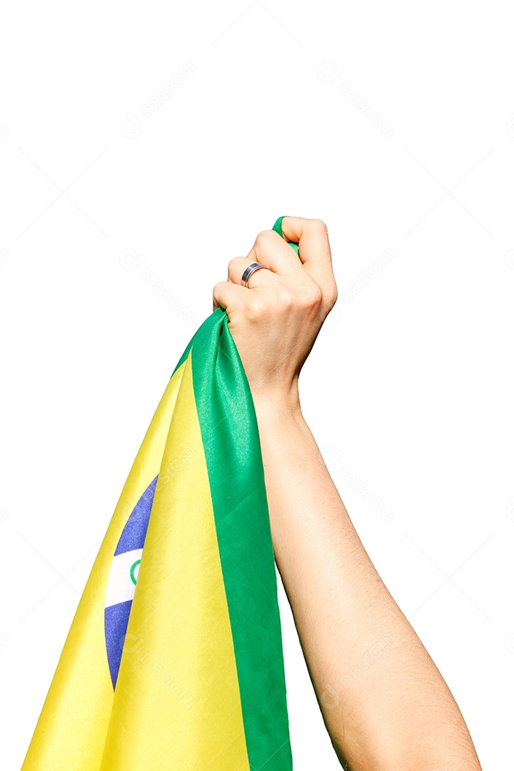 Pessoa segurando a bandeira do Brasil