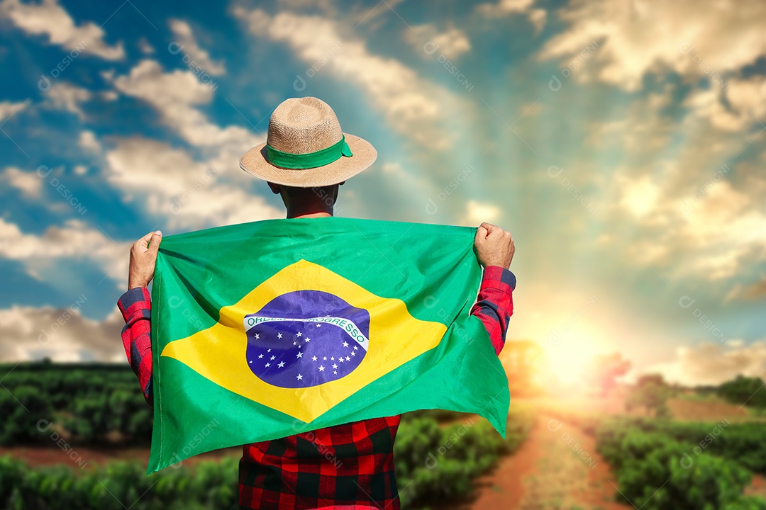 Pessoa segurando a bandeira do Brasil com fundo de lavoura