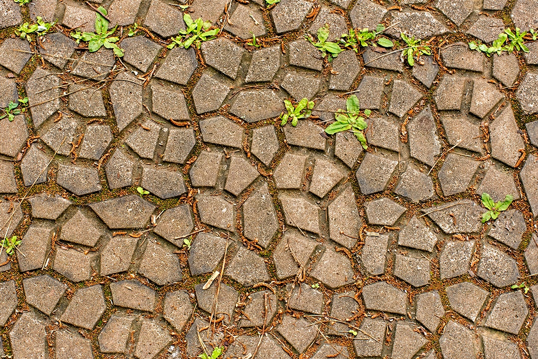 Textura da calçada de paralelepípedos capinada