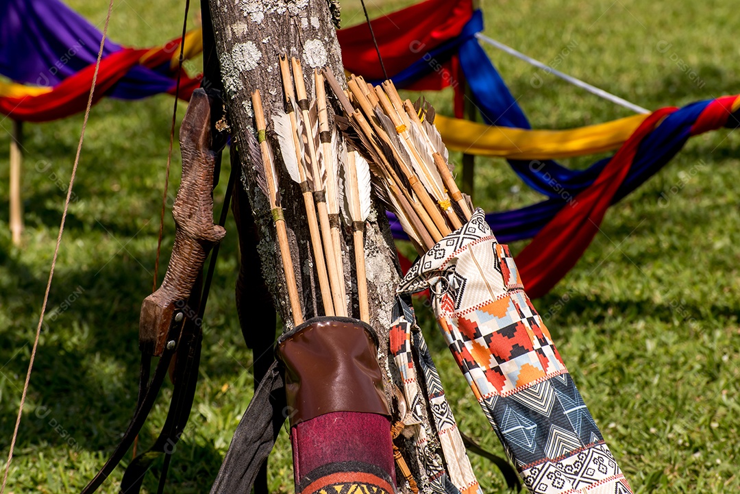 Tiro com arco esportivo, arcos e flechas apoiados em uma árvore