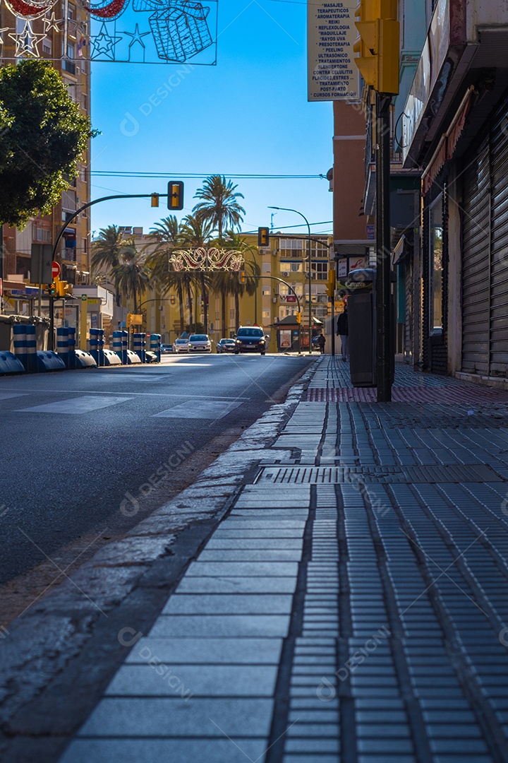 Bela vista de árvores pelas ruas de Málaga.