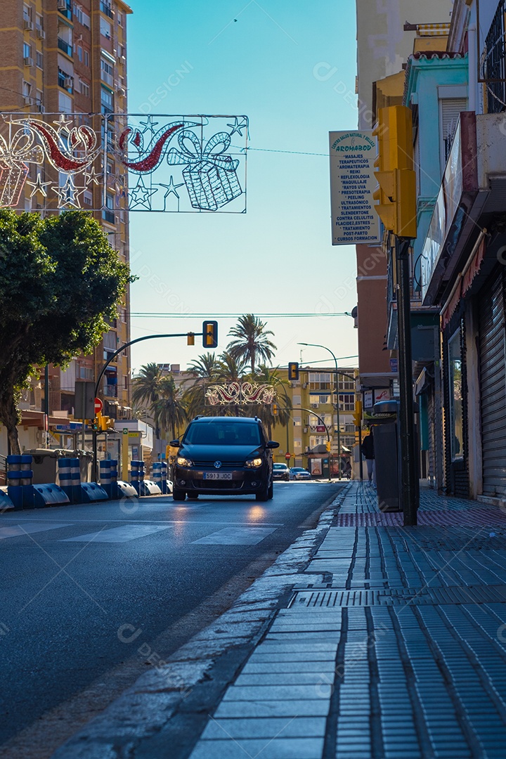 Bela vista de árvores pelas ruas de Málaga.