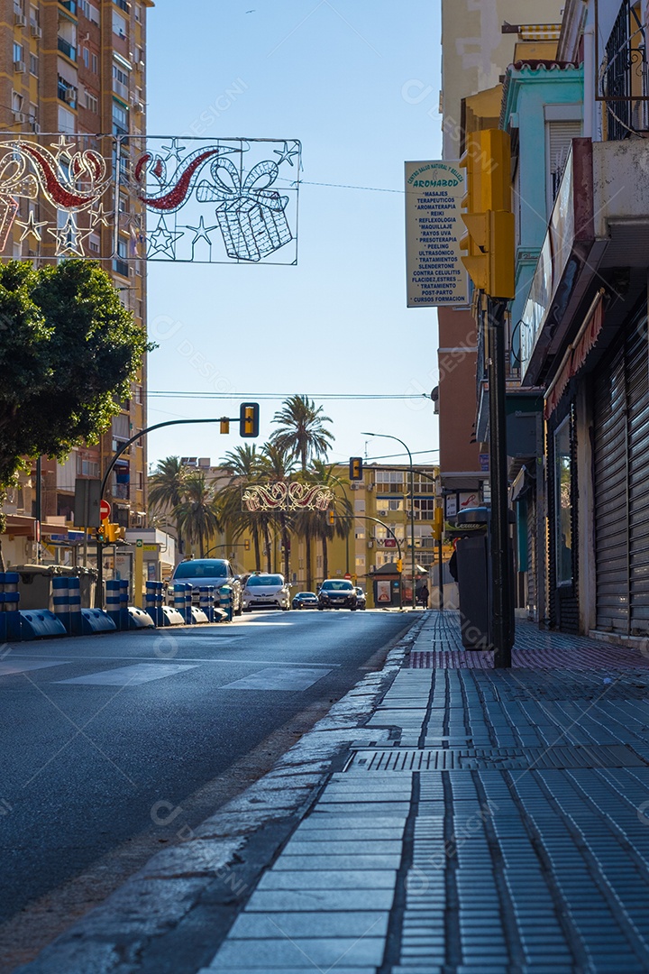 Bela vista de árvores pelas ruas de Málaga.