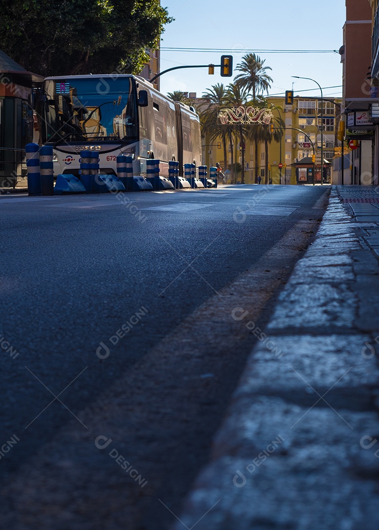 Bela vista de árvores pelas ruas de Málaga.