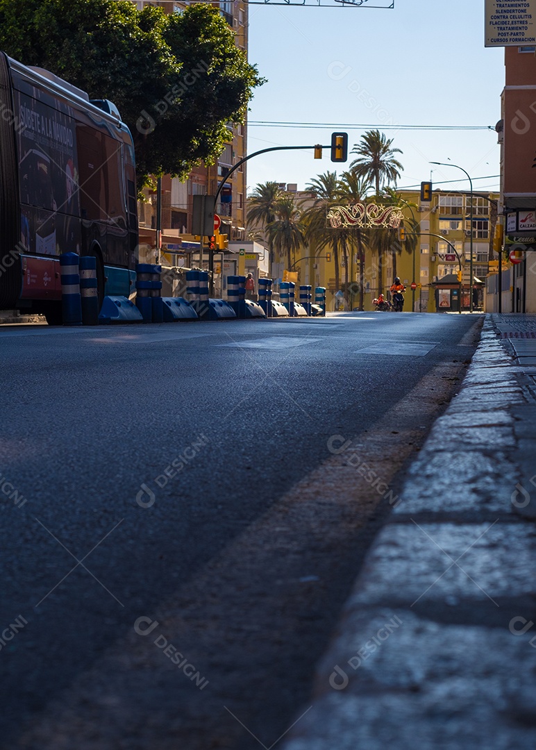 Bela vista de árvores pelas ruas de Málaga.