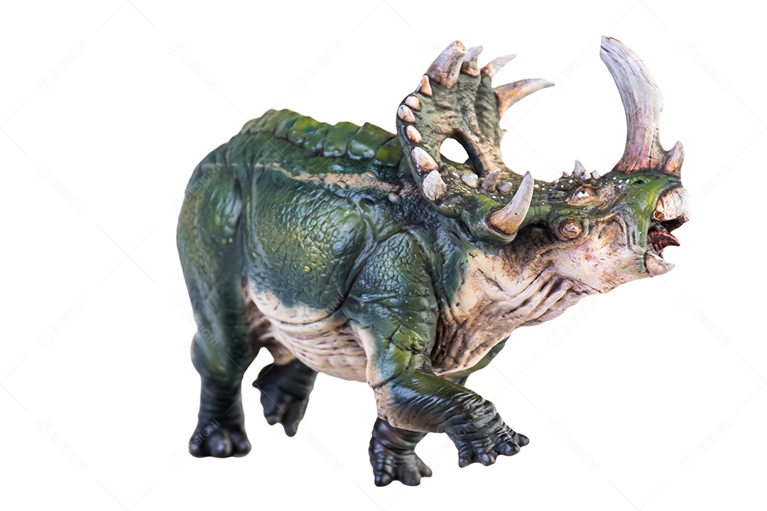 Dinossauro, traçado de recorte de fundo isolado Sinoceratops