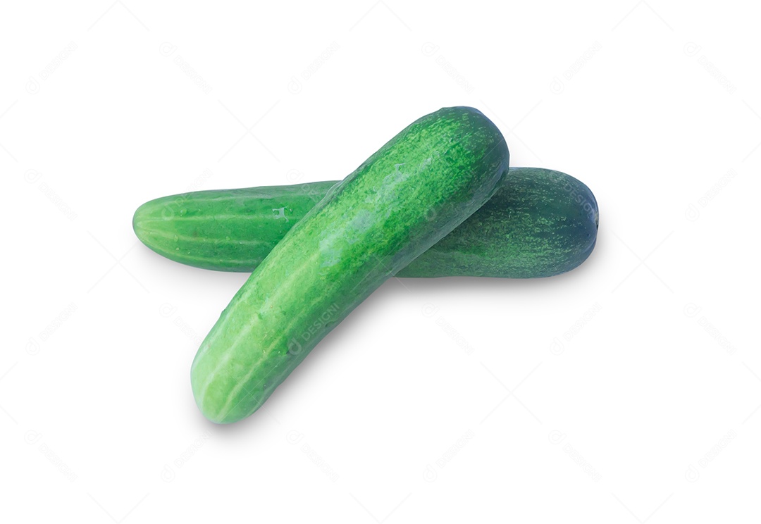 Vista superior de um único vegetal de pepino verde fresco isolado