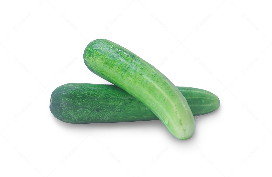 Vista superior de um único vegetal de pepino verde fresco isolado