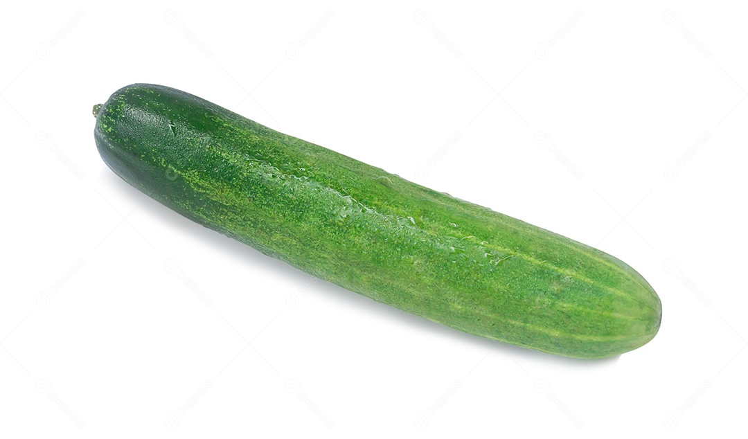 Vista superior de um único vegetal de pepino verde fresco isolado