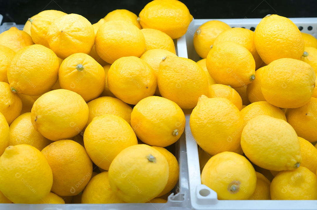 Pilha de limões amarelos frescos colhidos no jardim em sal