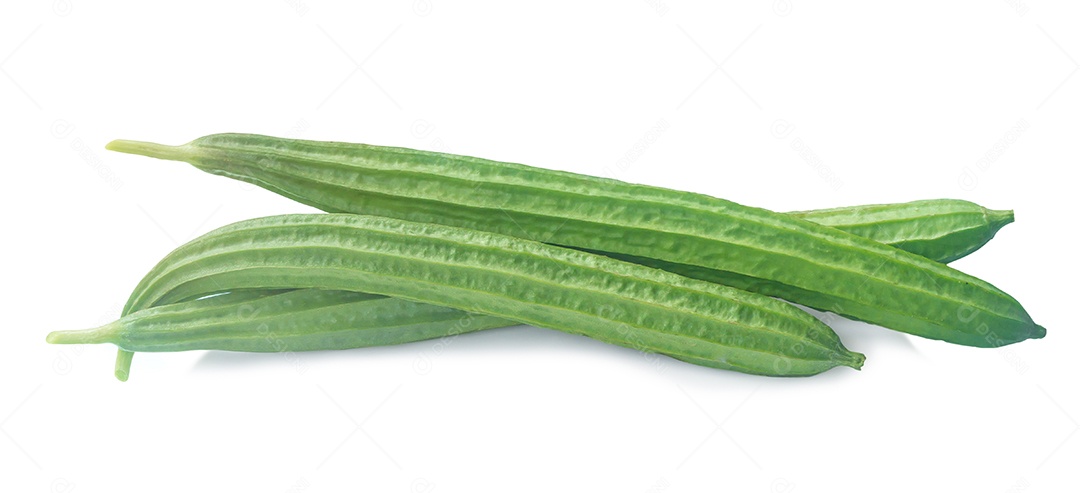 Três frutas verdes frescas da cabaça de esponja isoladas no fundo branco