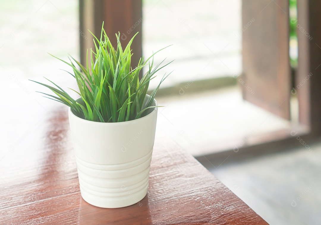 Planta de cobra em vaso de flores branco na mesa está no restaurante com luz suave à noite.