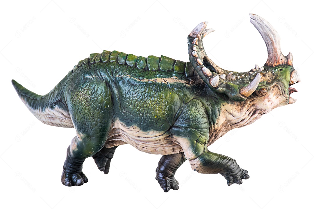 Dinossauro, traçado de recorte de fundo isolado Sinoceratops