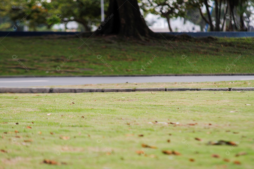 Jardim de grama do aterro sanitário do Flamengo no Rio de Janeiro.