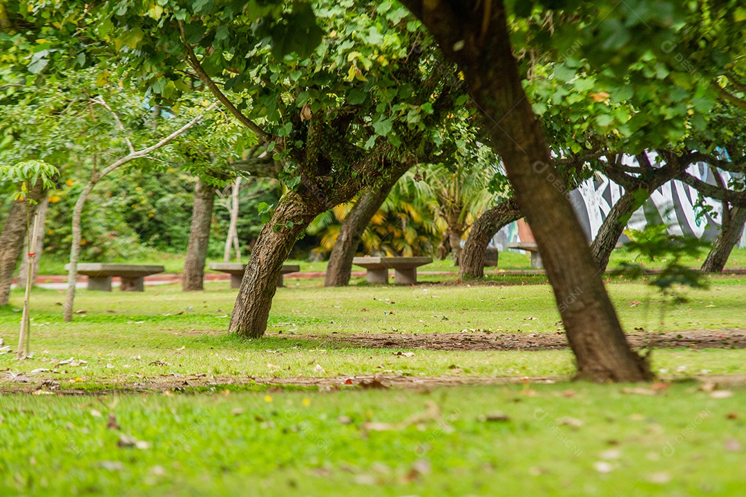 Parque das Figueiras na Lagoa Rodrigo de Freitas no Rio de Janeiro.