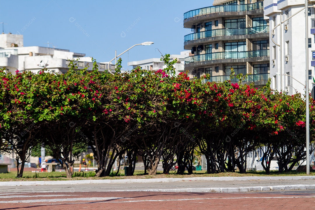 Vista da praia forte de Cabo Frio no Rio de Janeiro.
