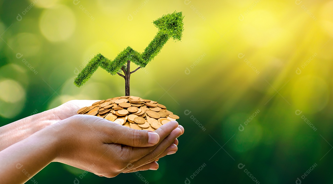 Mão envie moeda verde fundo bokeh