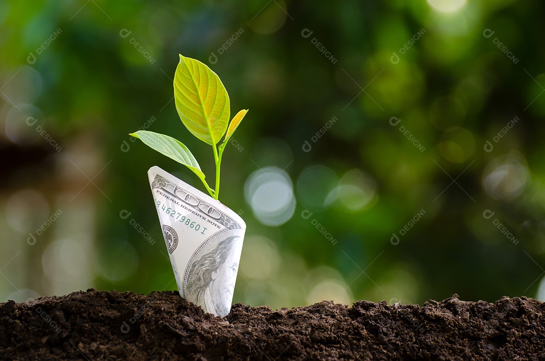 Árvore de notas Imagem de nota de banco com planta crescendo no topo para negócios fundo verde natural economia de dinheiro e investimento conceito financeiro