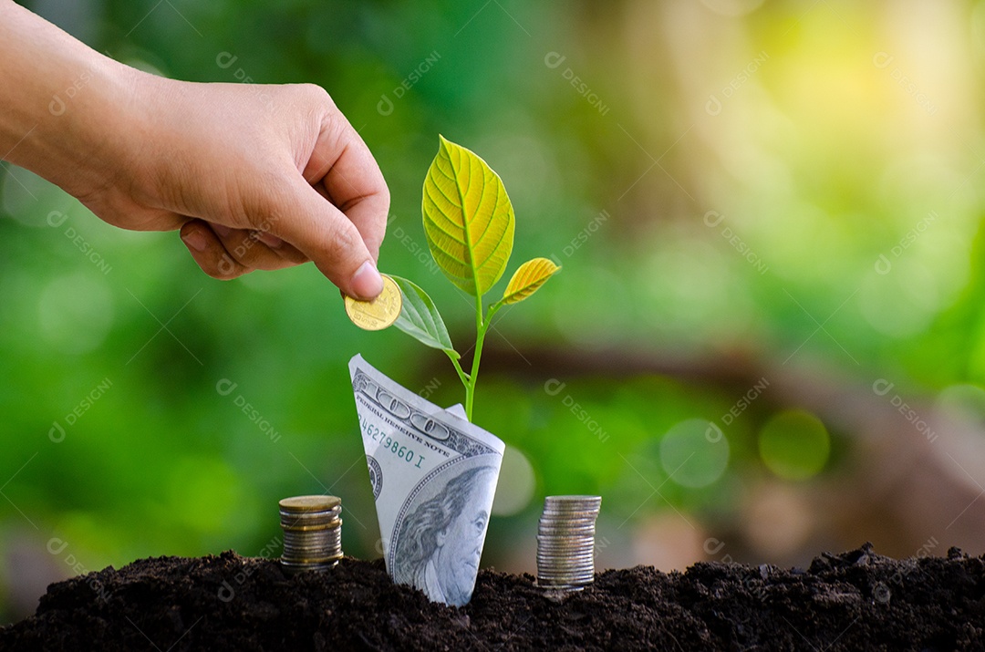 Árvore de notas Imagem de nota de banco com planta crescendo no topo para negócios fundo verde natural economia de dinheiro e investimento conceito financeiro