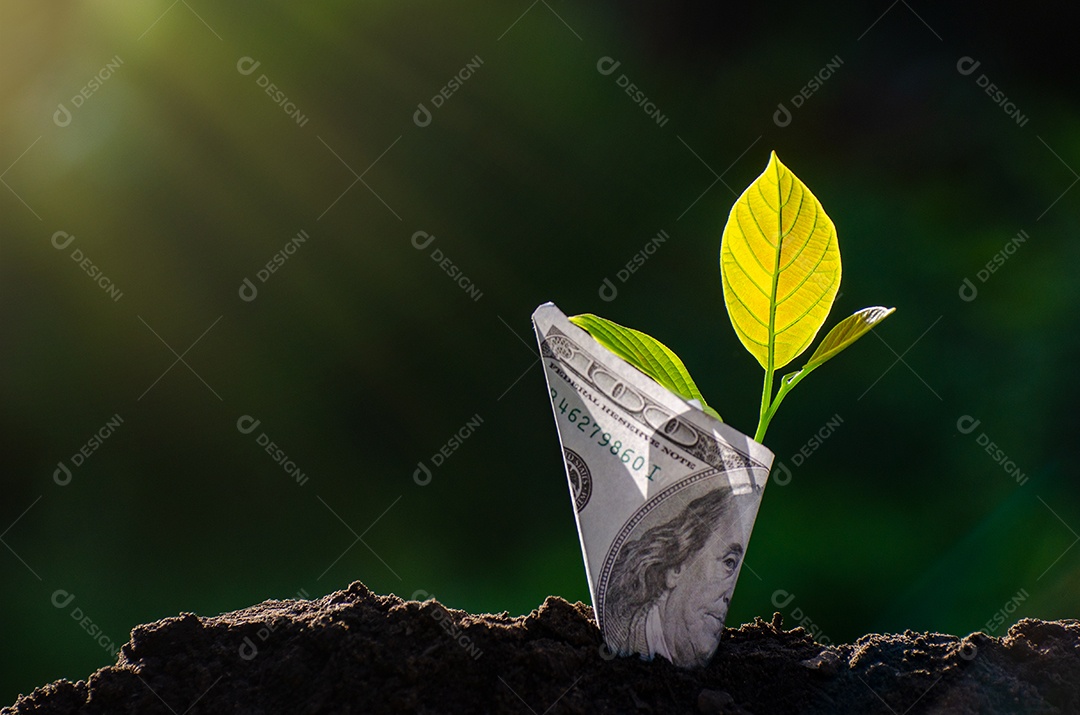 Árvore de notas Imagem de nota de banco com planta crescendo no topo para negócios fundo verde natural economia de dinheiro e investimento conceito financeiro