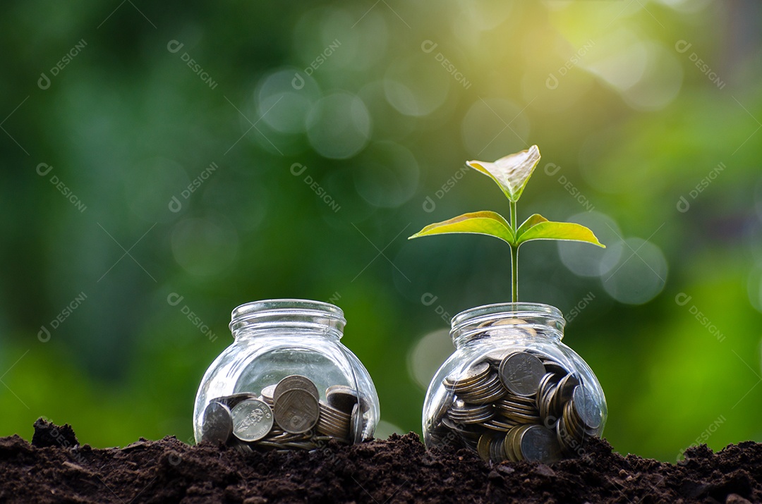 Moedas de banco com planta crescendo no topo para negócios fundo verde natural