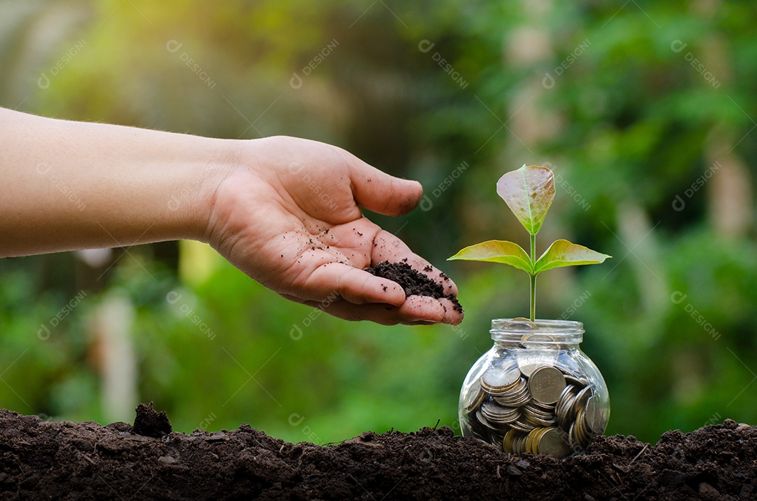 Moedas de banco com planta crescendo no topo para negócios fundo verde natural