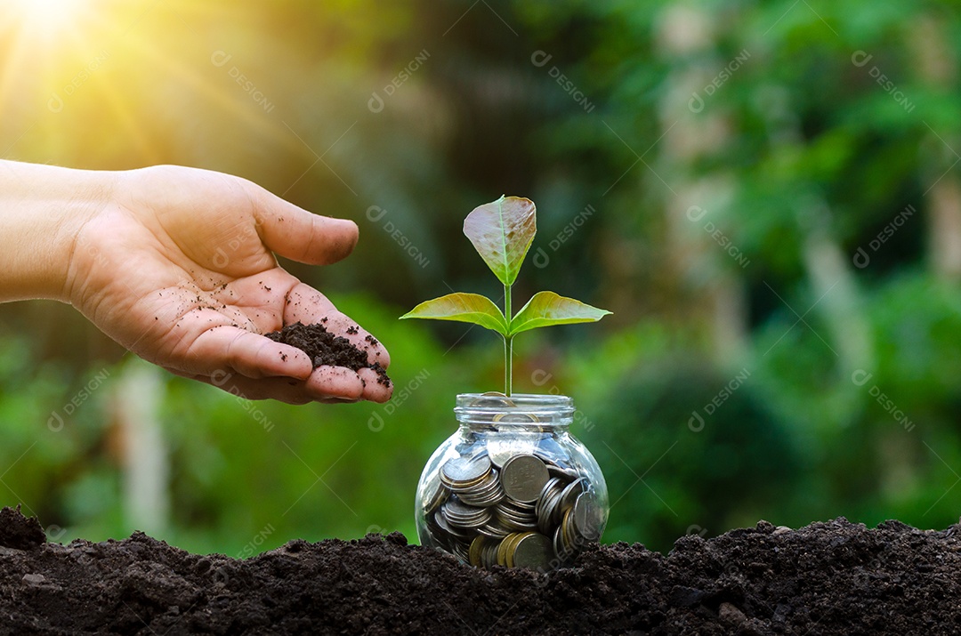 Moedas de banco com planta crescendo no topo para negócios fundo verde natural