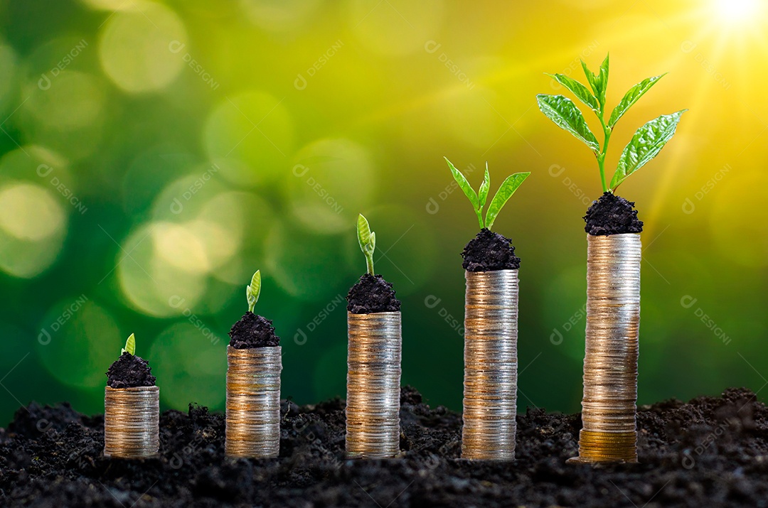 Moedas da árvore superior para mostrar o conceito de crescimento do negócio