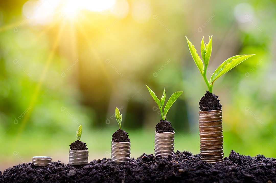 Moedas da árvore superior para mostrar o conceito de crescimento do negócio