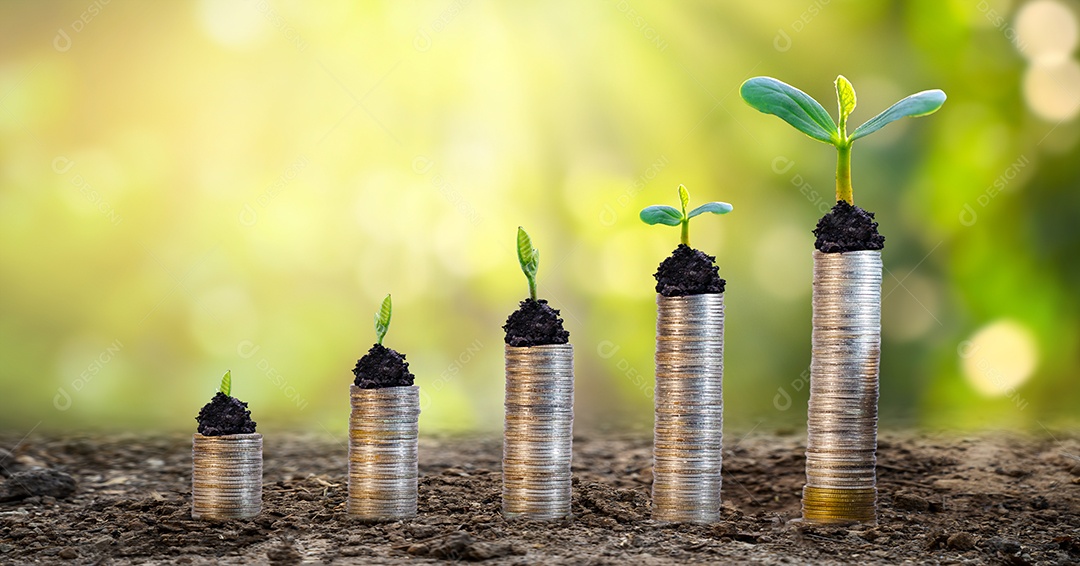 Crescimento monetário economizando dinheiro