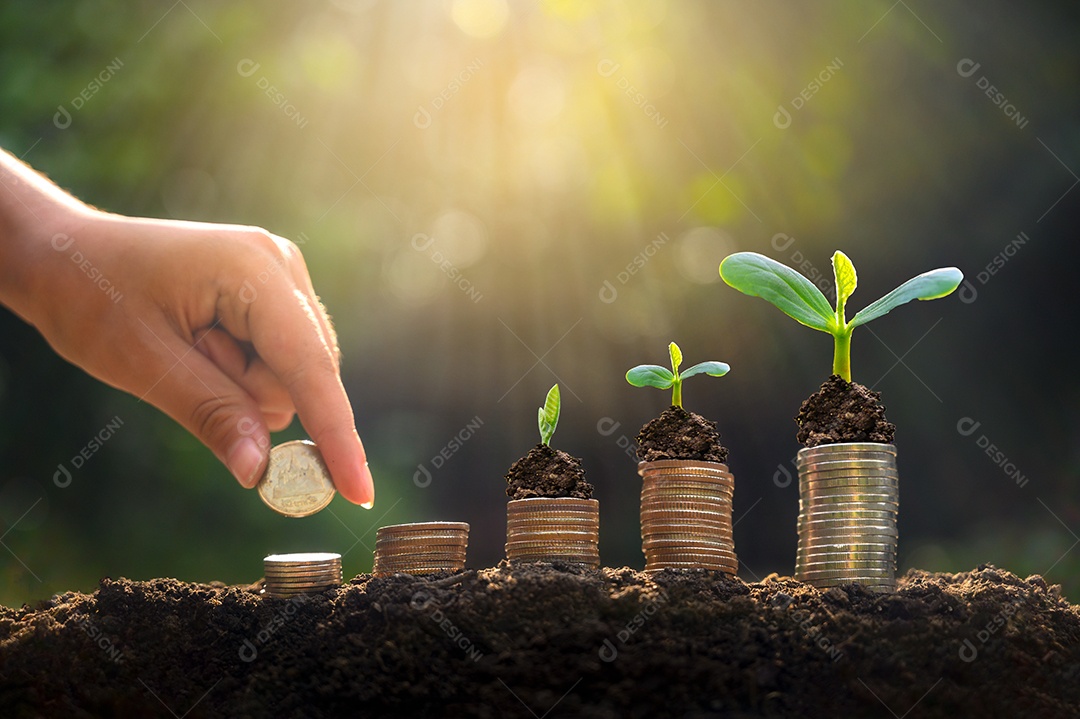 Crescimento monetário economizando dinheiro