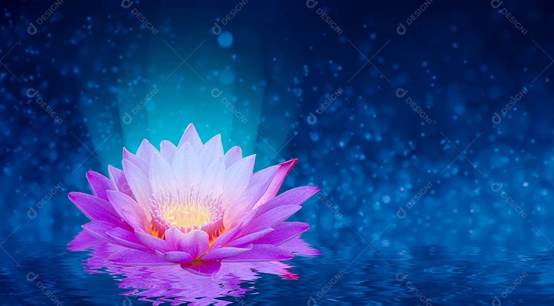 Fundo roxo claro com brilho flutuante de luz rosa lótus