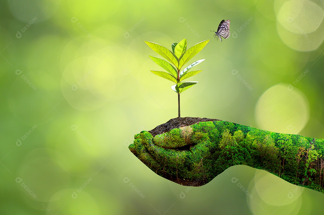 Conceito salve o mundo salve o meio ambiente o mundo está na grama do fundo verde bokeh