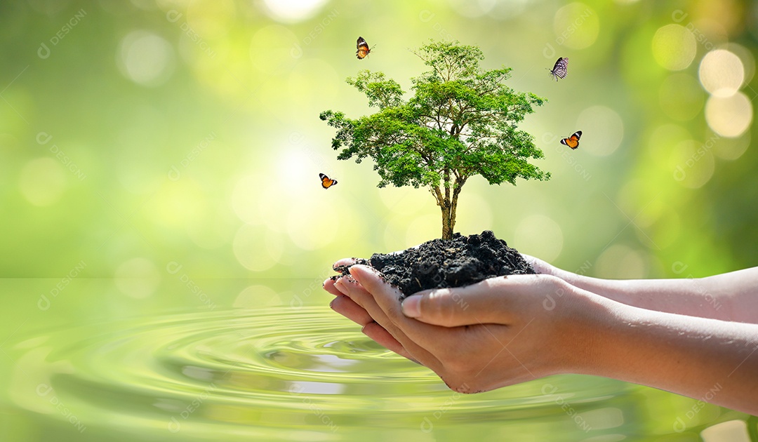 Conceito salve o mundo salve o meio ambiente o mundo está na grama do fundo verde bokeh